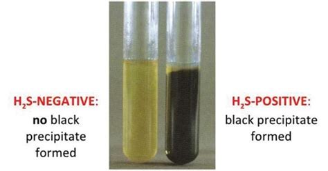 sulfur reduction test